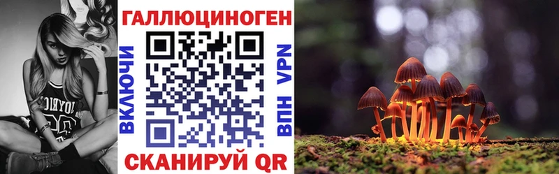 Галлюциногенные грибы Cubensis  mega маркетплейс  Шимановск 
